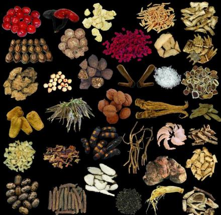 Medicinal and edible food with the same origin. png